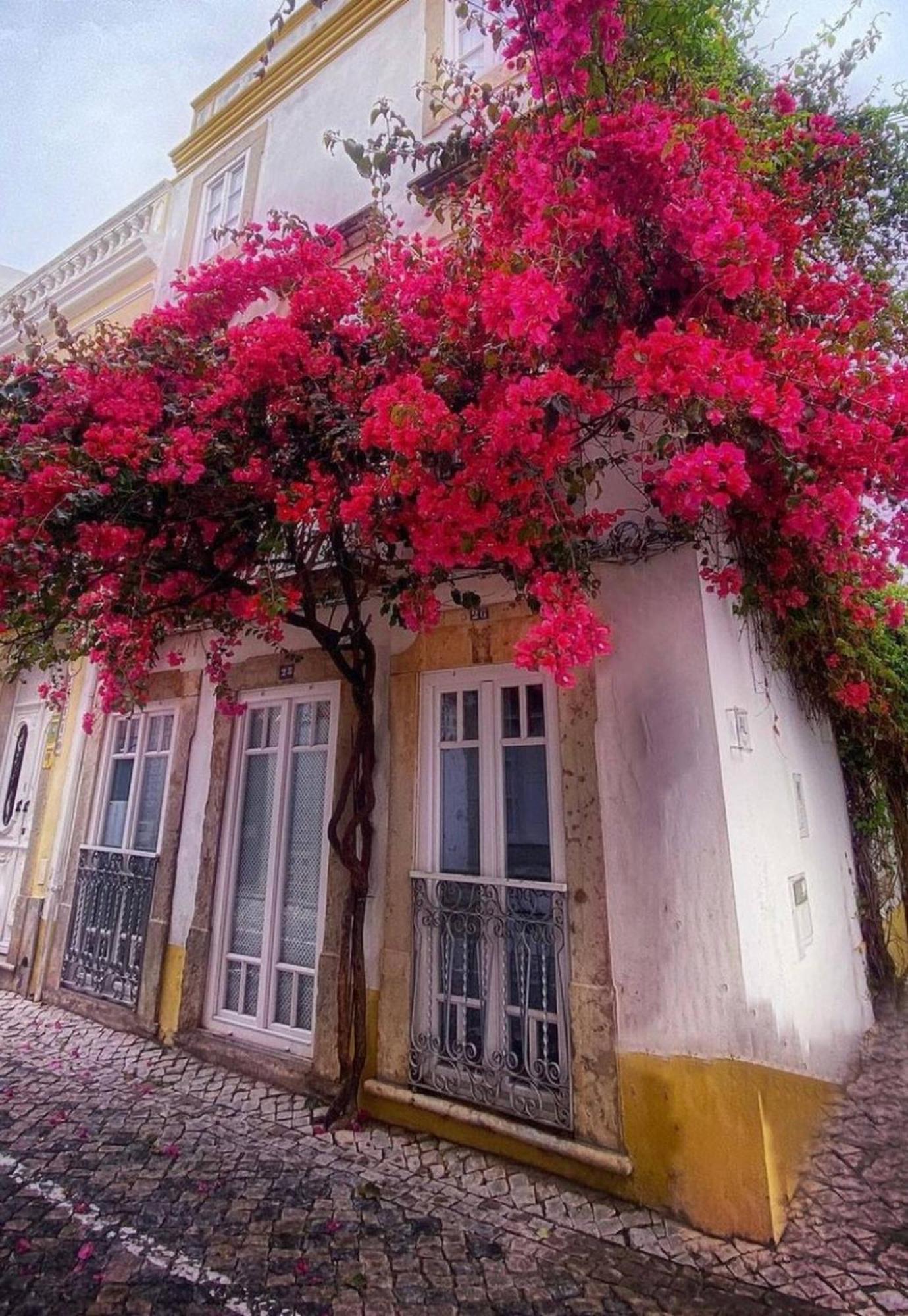 Elegant Studio Formosa In Taviras Historica Centre Villa Exterior photo